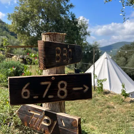 Tendu Family Camping